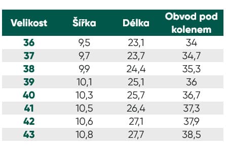 Charlotte Be Lenka zimní kozačky